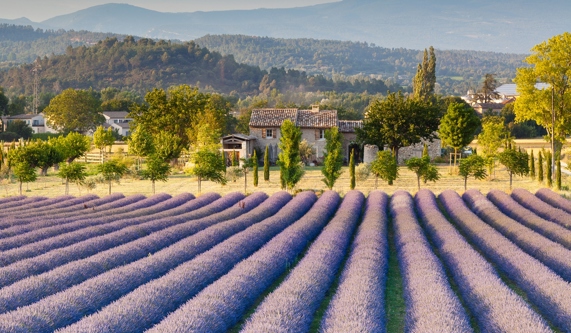 Provence