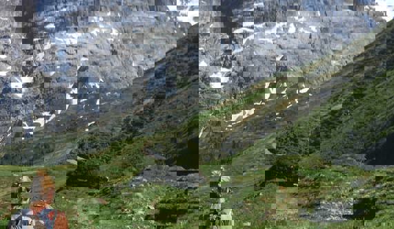 All Walking Switzerland 